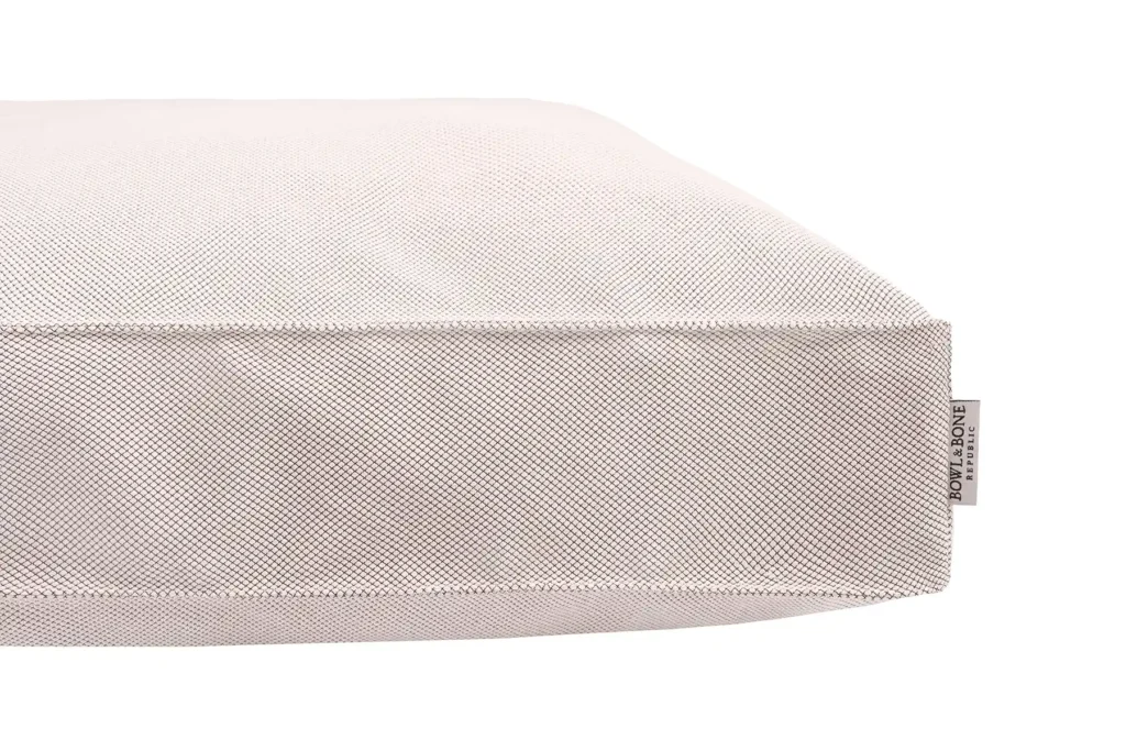 dog cushion cream close-up