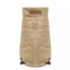 dog jacket gold
