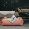 a dog sits on in the dog bed