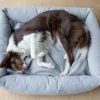 dog lying on the grey dog bed