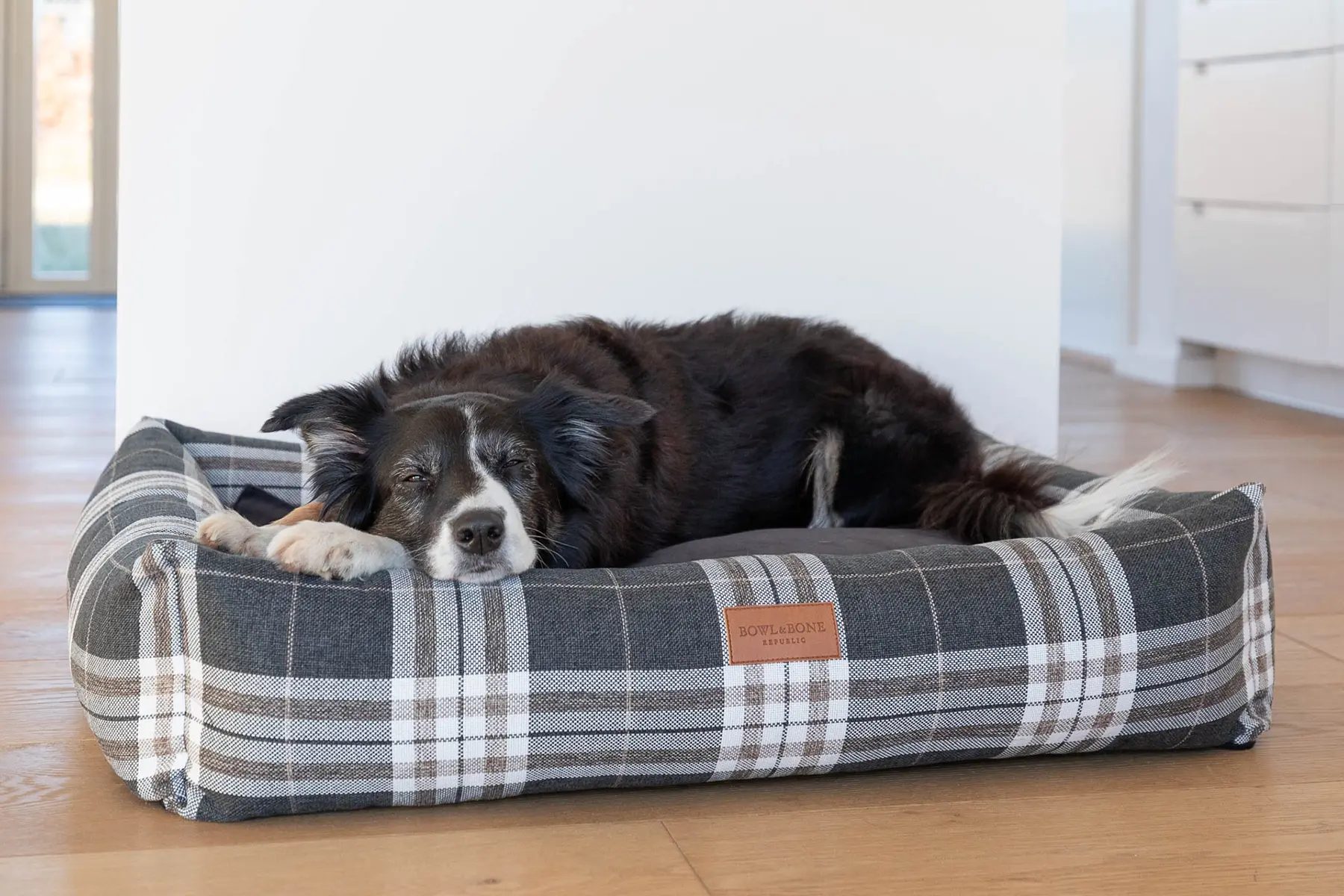 dog lying on the grey dog bed