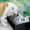 a dog eats from a dark duo dog bowl
