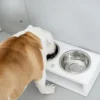 a dog eats from a white duo dog bowl