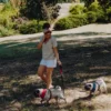 two dogs on the leash in the park