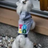 a dog in a grey hoodie