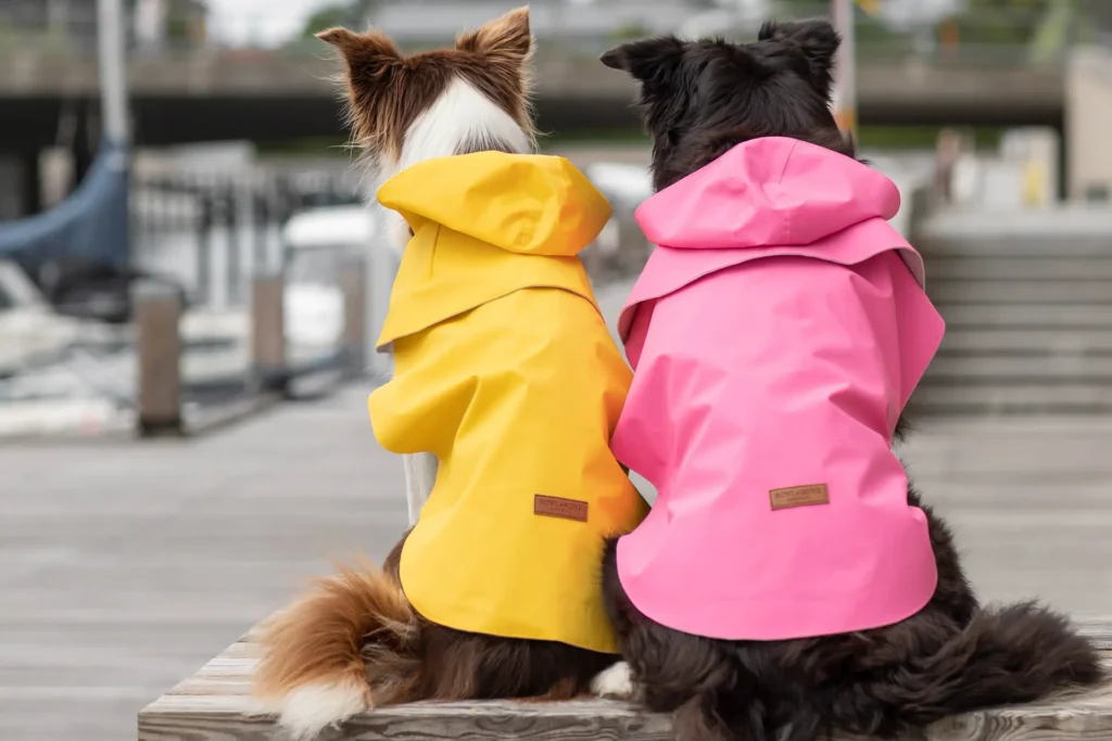 dogs in a yellow and pink raincoats