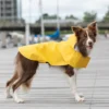 a dog in a yellow raincoat