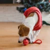 a dog in a red sweater plays with a toh under the christmas tree