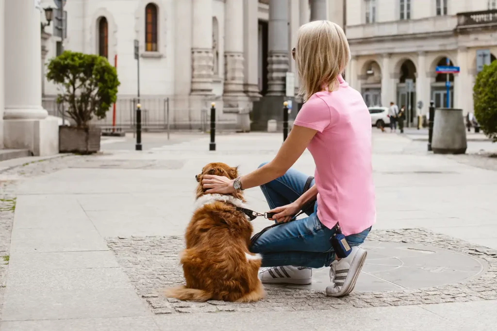 a dog with his guardian in the city