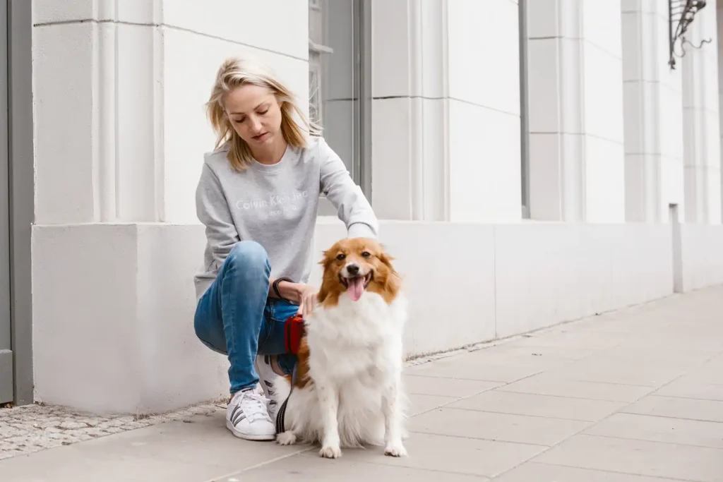 a dog with his guardian in the city