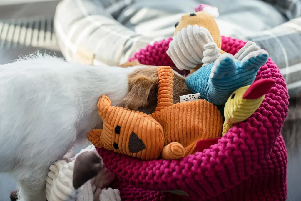 the dog puts his head into the basket with toys