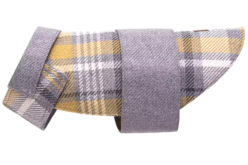 dog coat grey side view