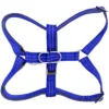 dog harness blue