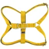 dog harness yellow