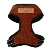 brown dog harness