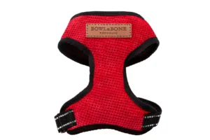 red dog harness