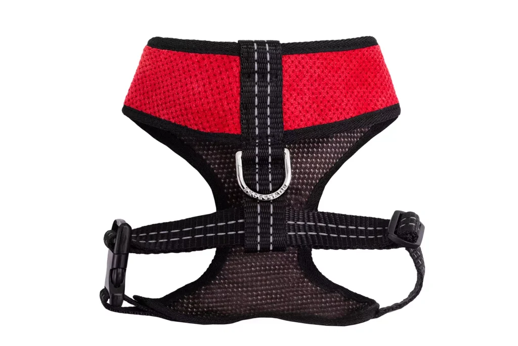red dog harness