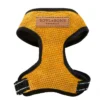 yellow dog harness