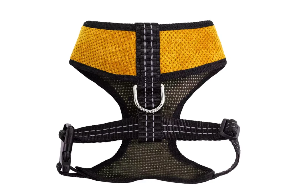 yellow dog harness