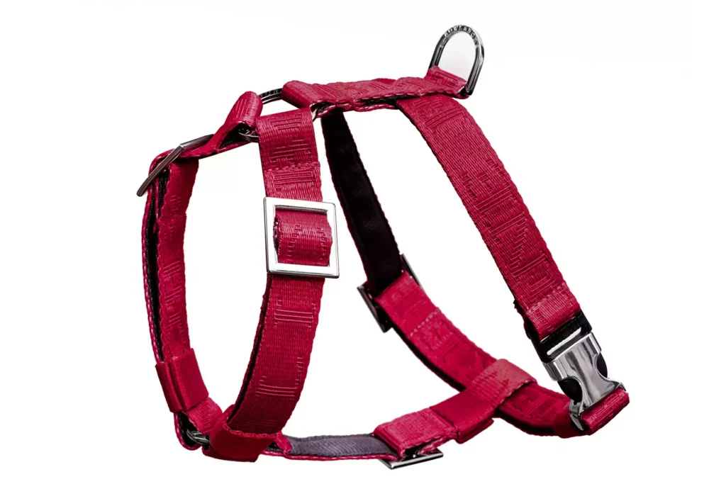 Dog harness |BLOOM red