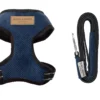 blue dog harness with a lead