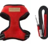 red dog harness with a lead