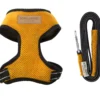 yellow dog harness with a lead
