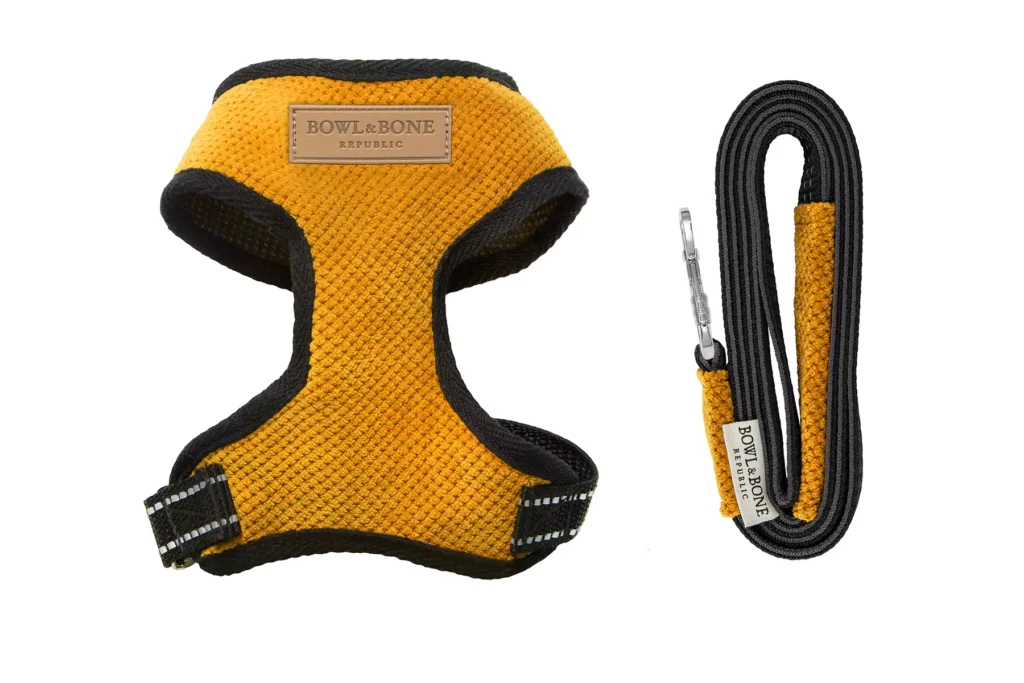 yellow dog harness with a lead