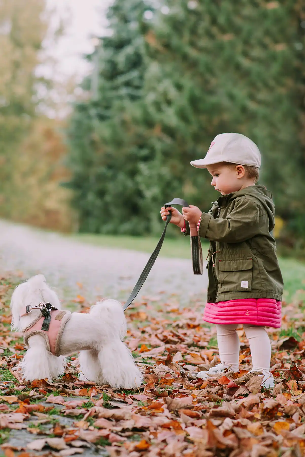 a child holding a dog lead with a dog in rose harness