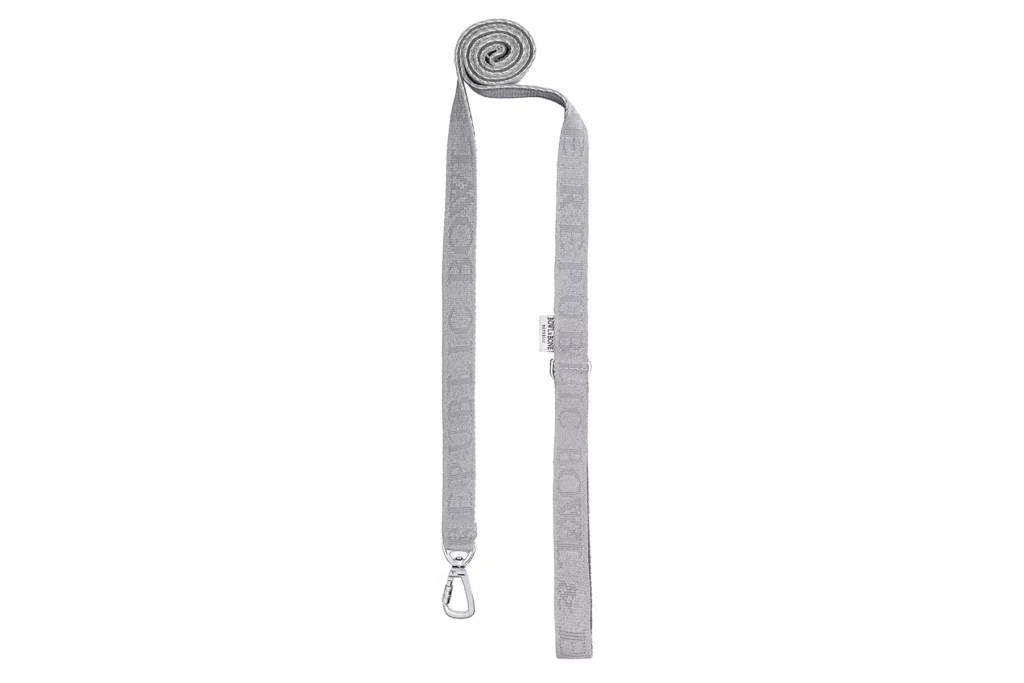 grey dog lead