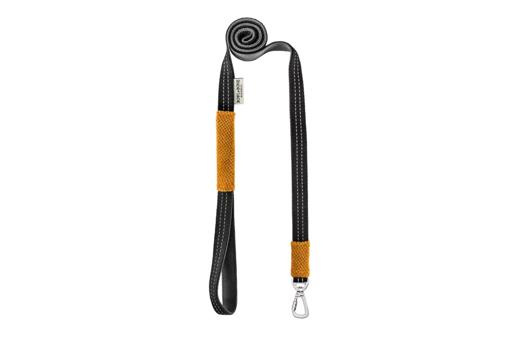 yellow dog lead