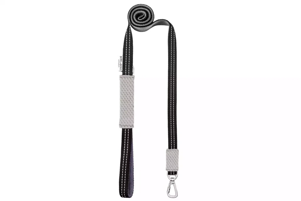 grey dog lead