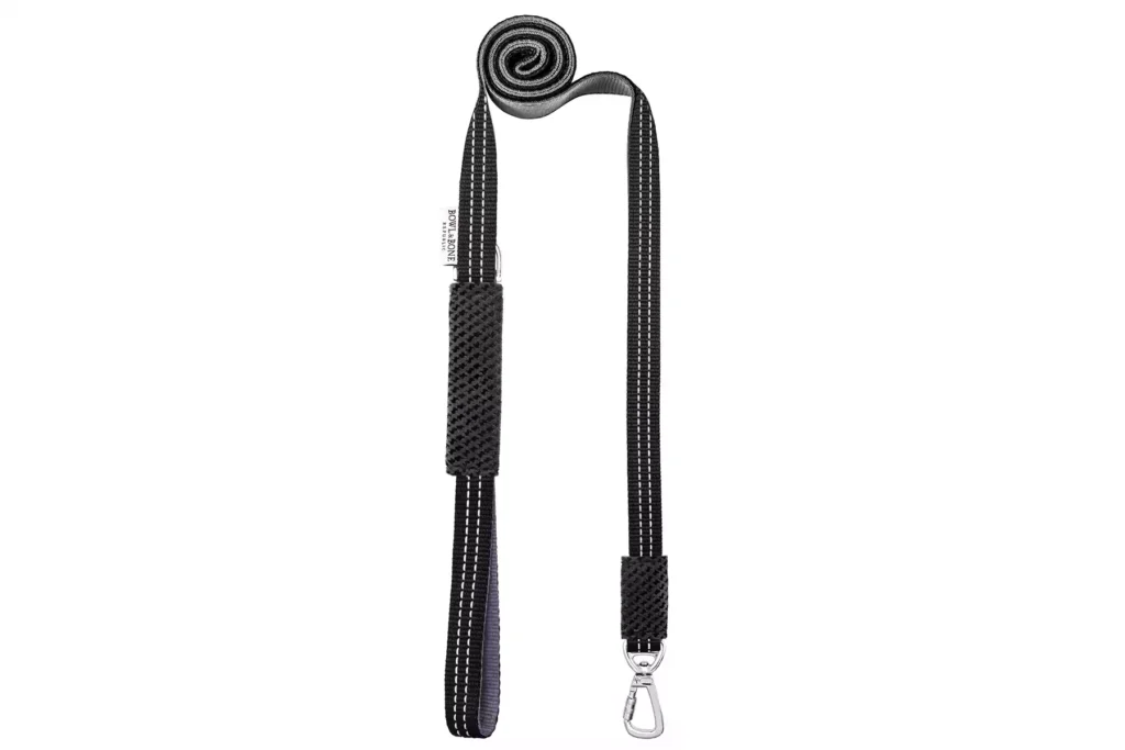 black dog lead