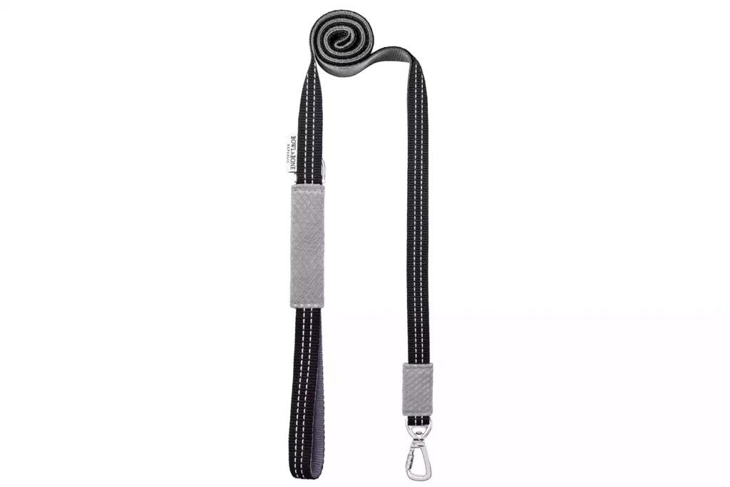 grey dog lead