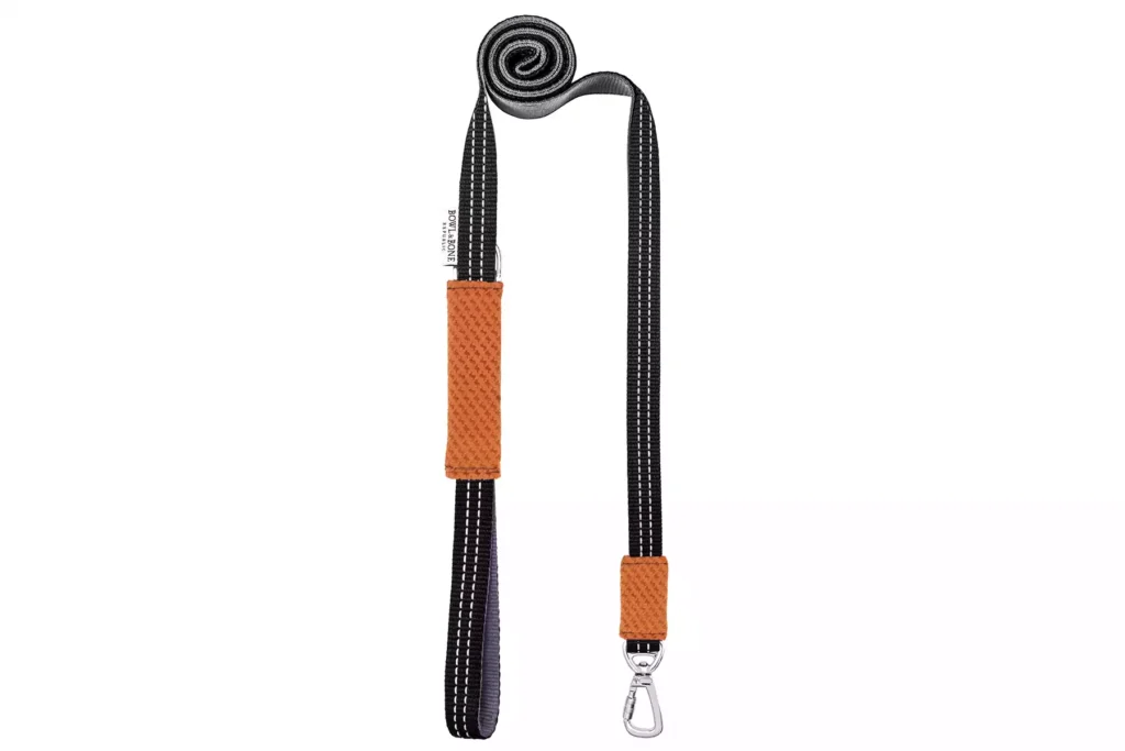orange dog lead