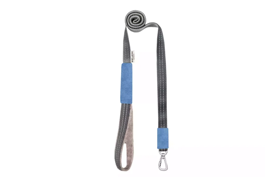 bluea dog lead