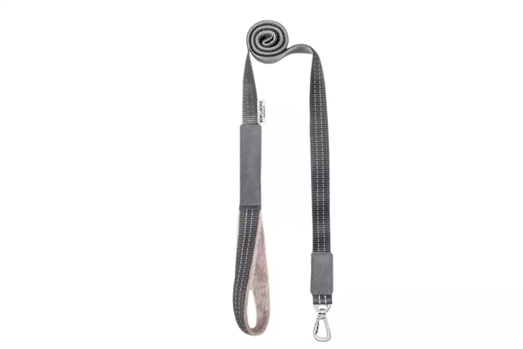 grey dog lead