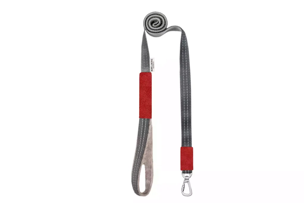 grey-red dog lead
