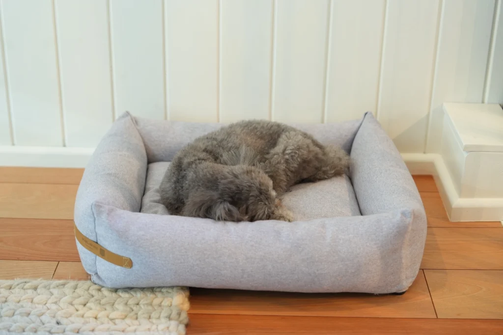 doggy sleeps in grey loft dog bed Bowl&Bone Republic