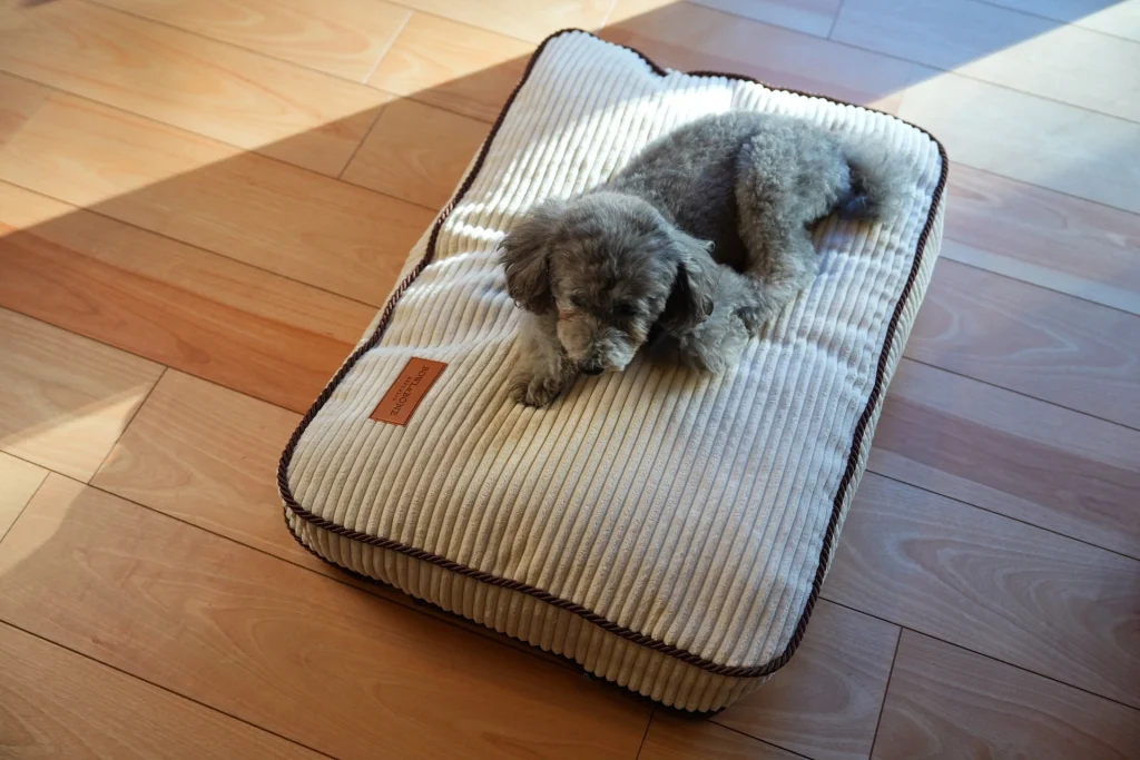 doggy lies on corduroy cream dog cushion Bowl&Bone Republic
