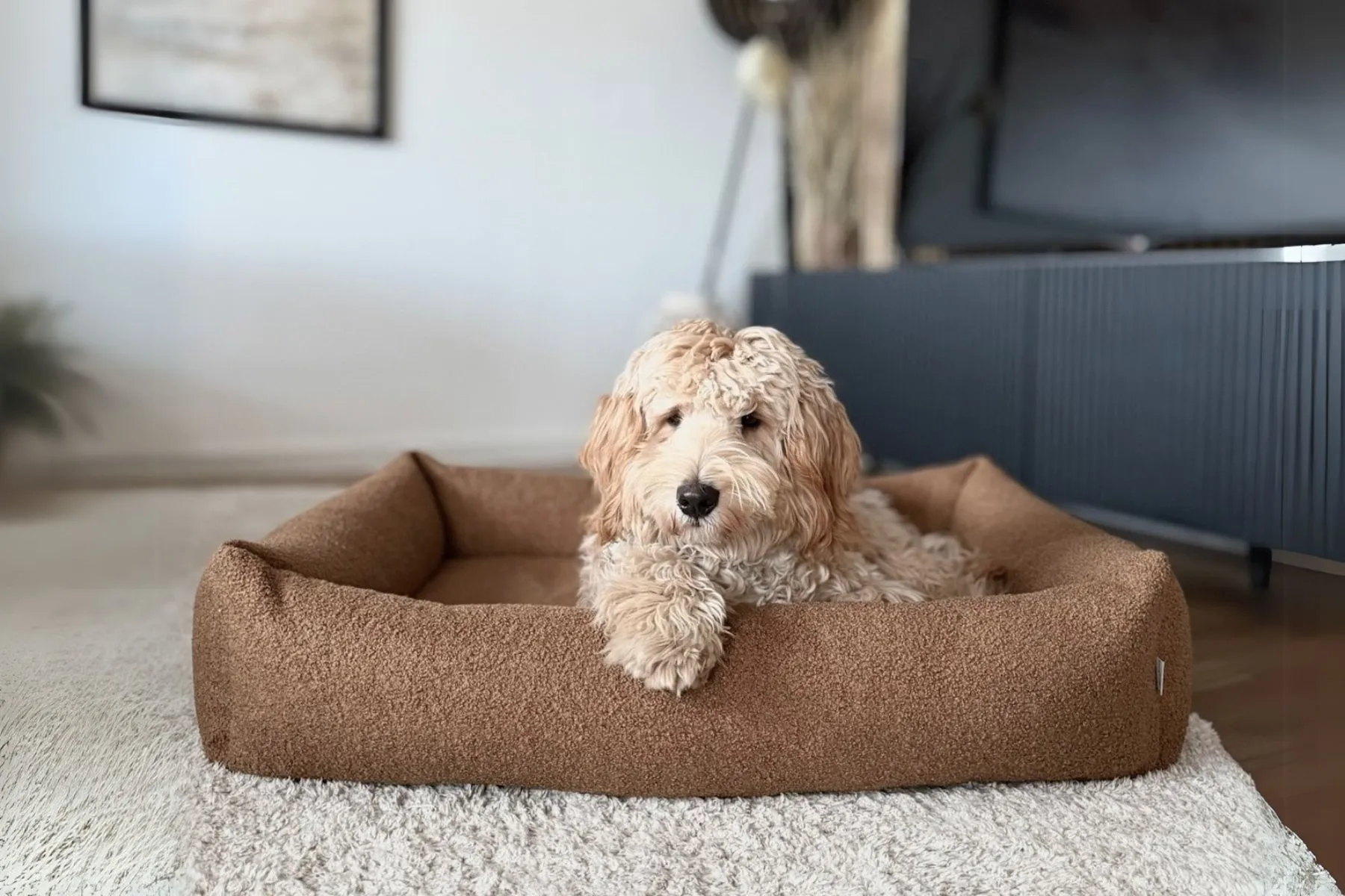 Calming dog bed brown Bowl&Bone dog shop